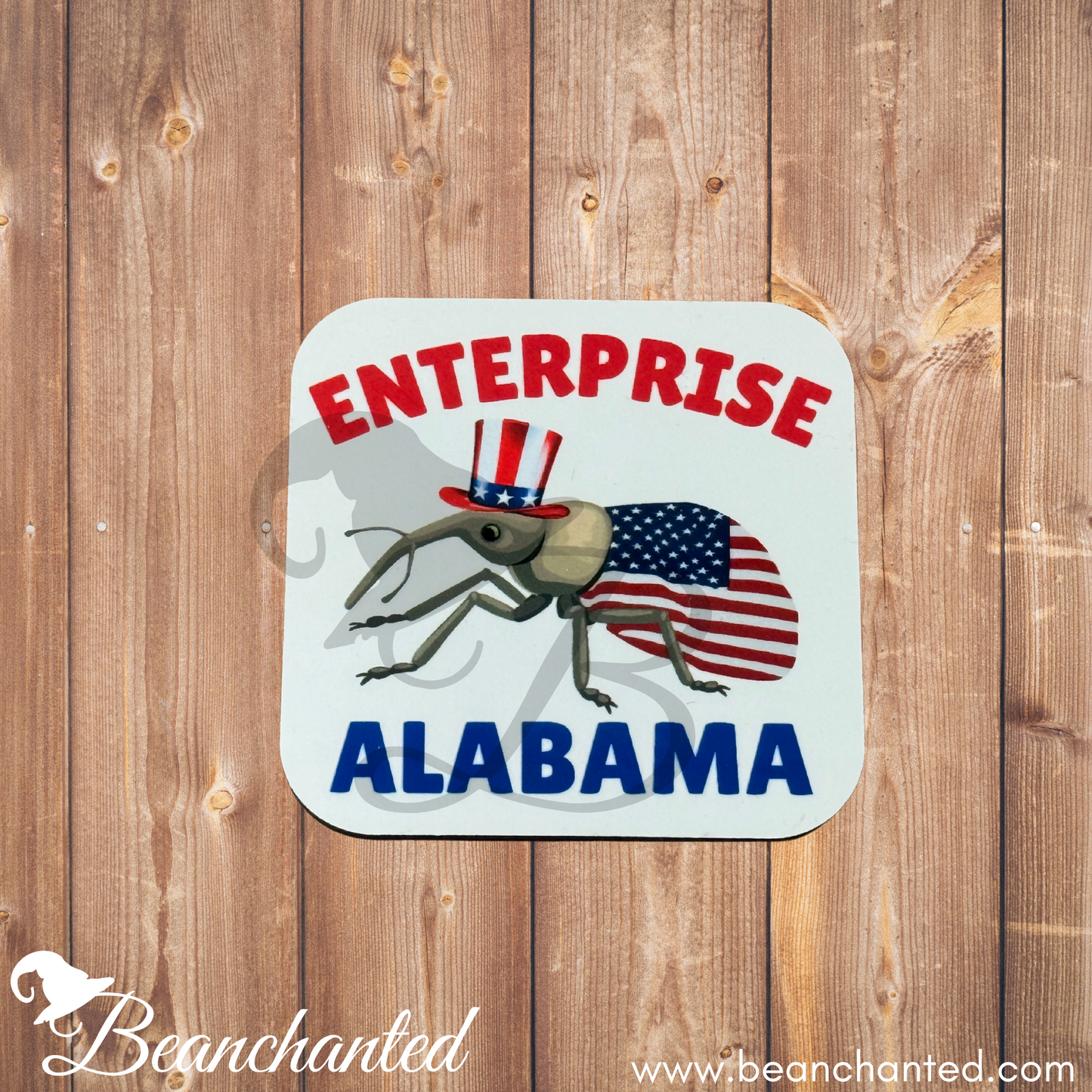 Fridge Magnet "Enterprise Patriotic"