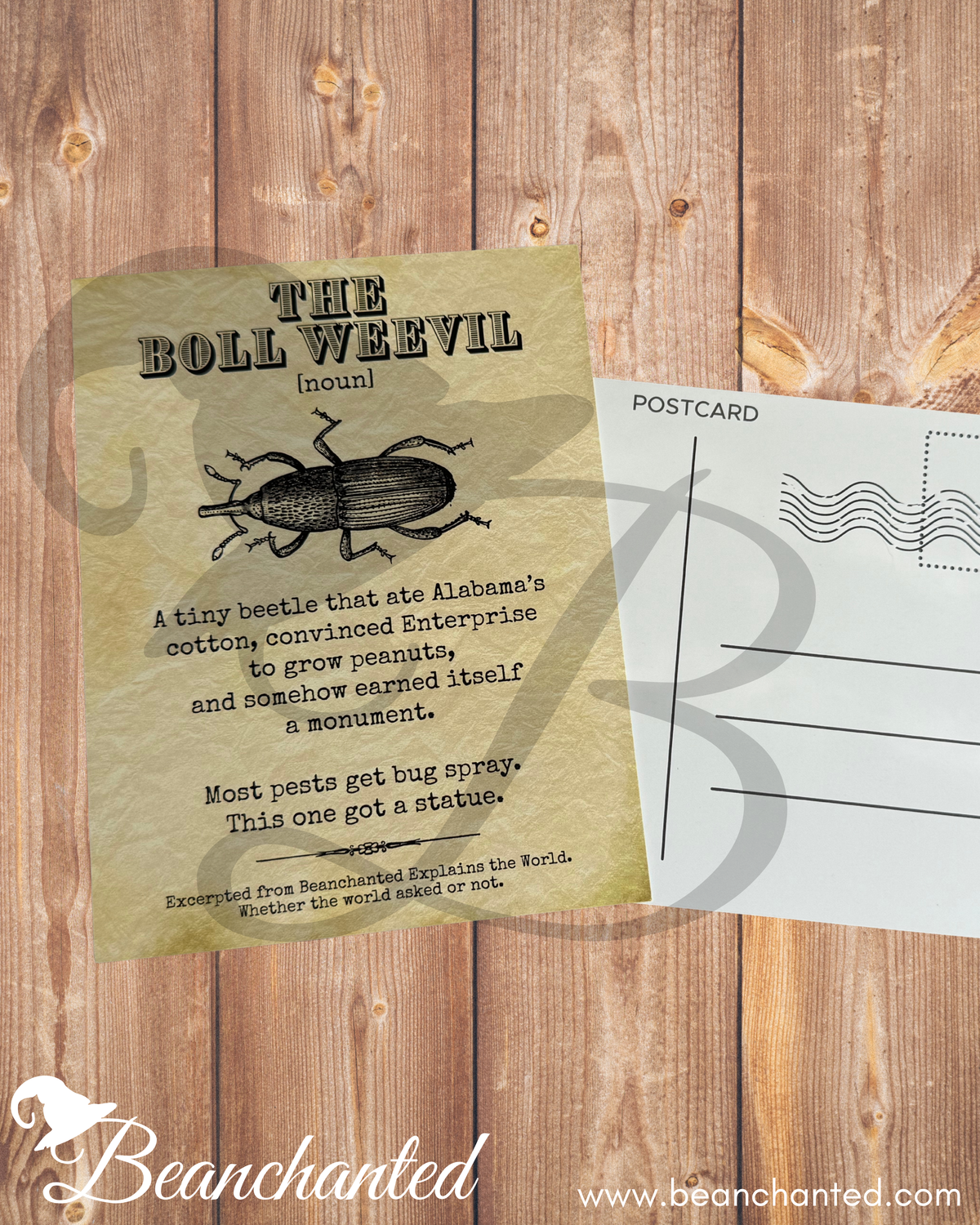ENTERPRISE ALABAMA - THE BOLL WEEVIL - Vintage Definition Postcard